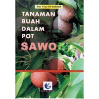 Image of TANAMAN BUAH DALAM POT SAWO