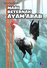 MARI BETERNAK  AYAM ARAB